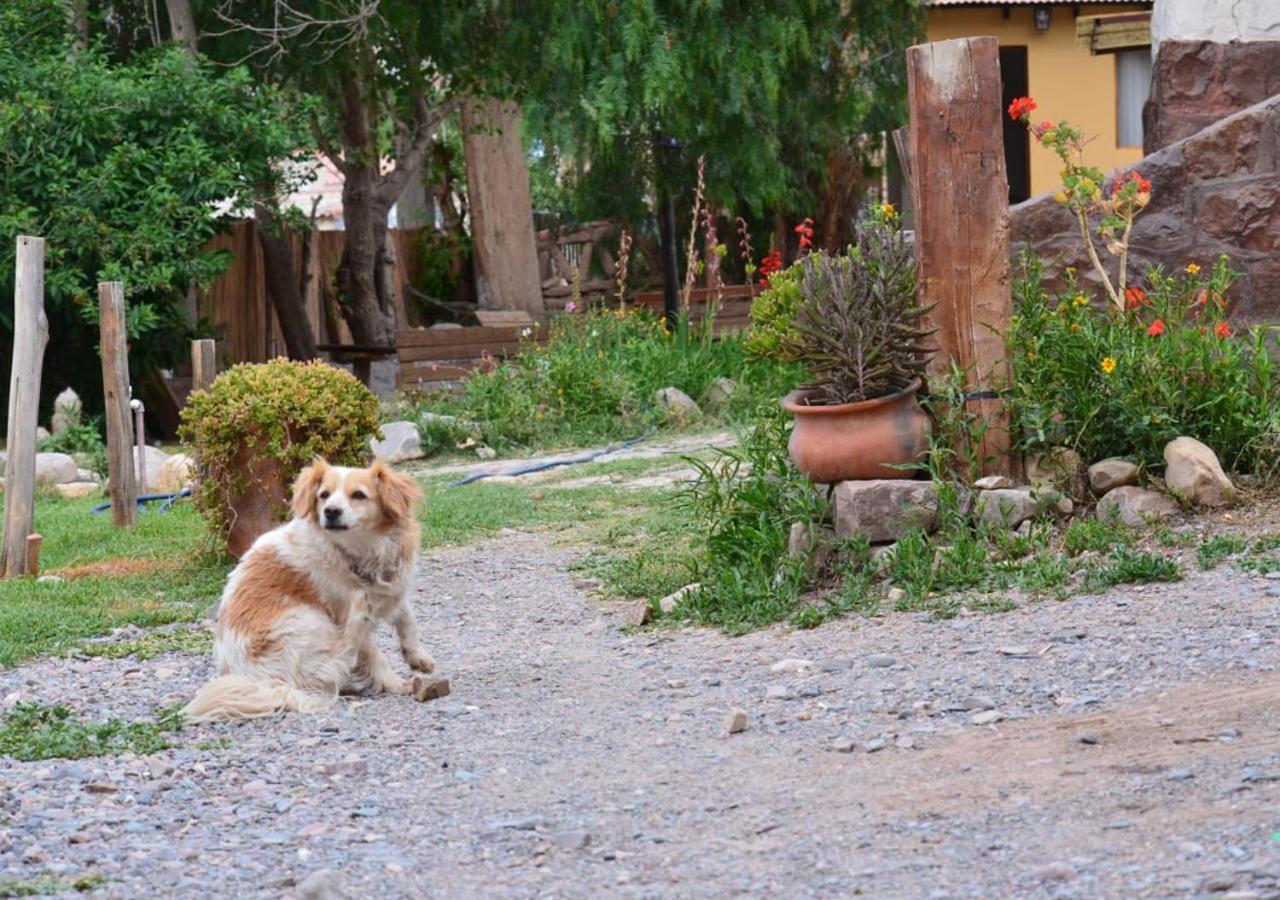 Hostal La Albahaca Tilcara Dış mekan fotoğraf
