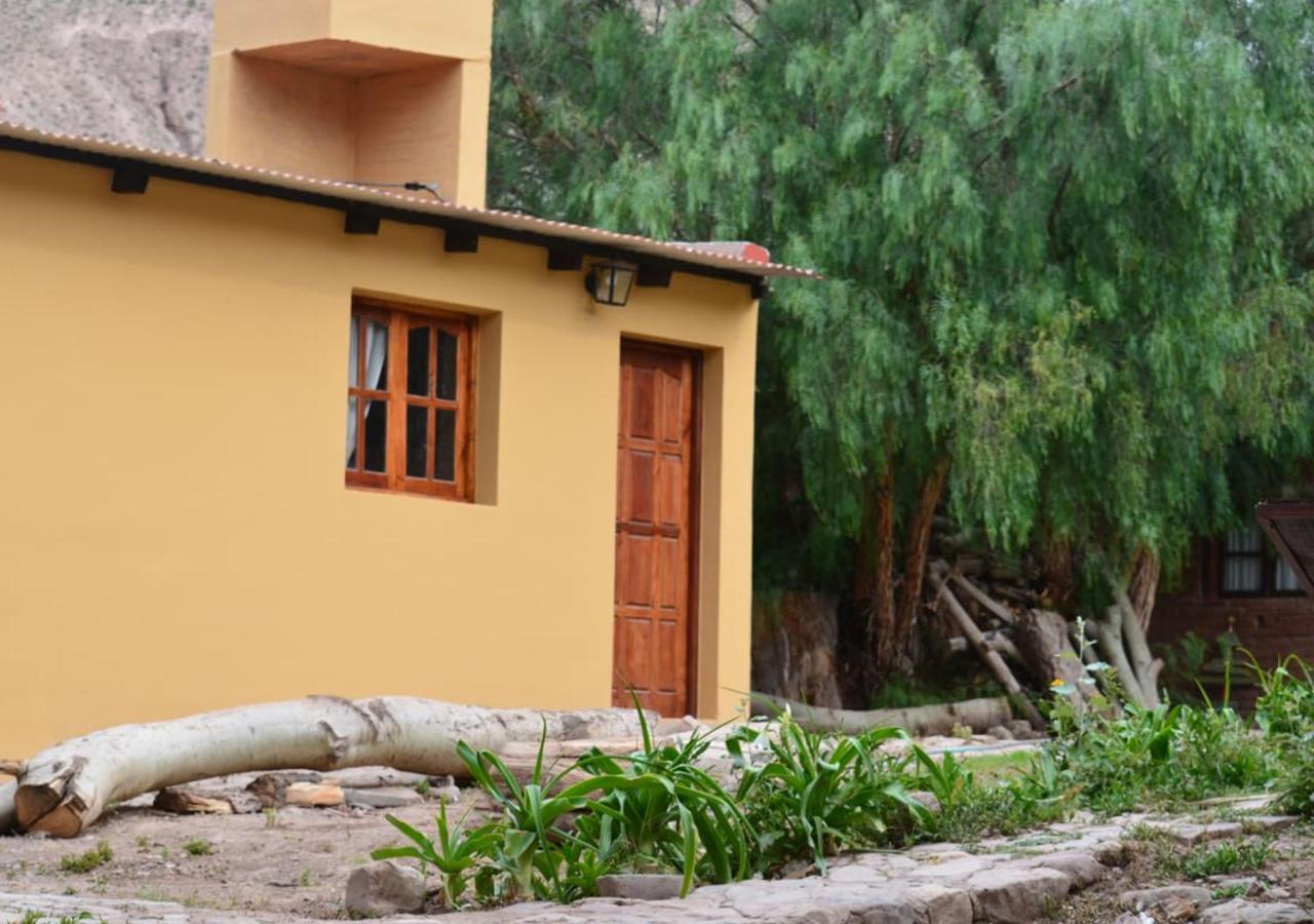 Hostal La Albahaca Tilcara Dış mekan fotoğraf