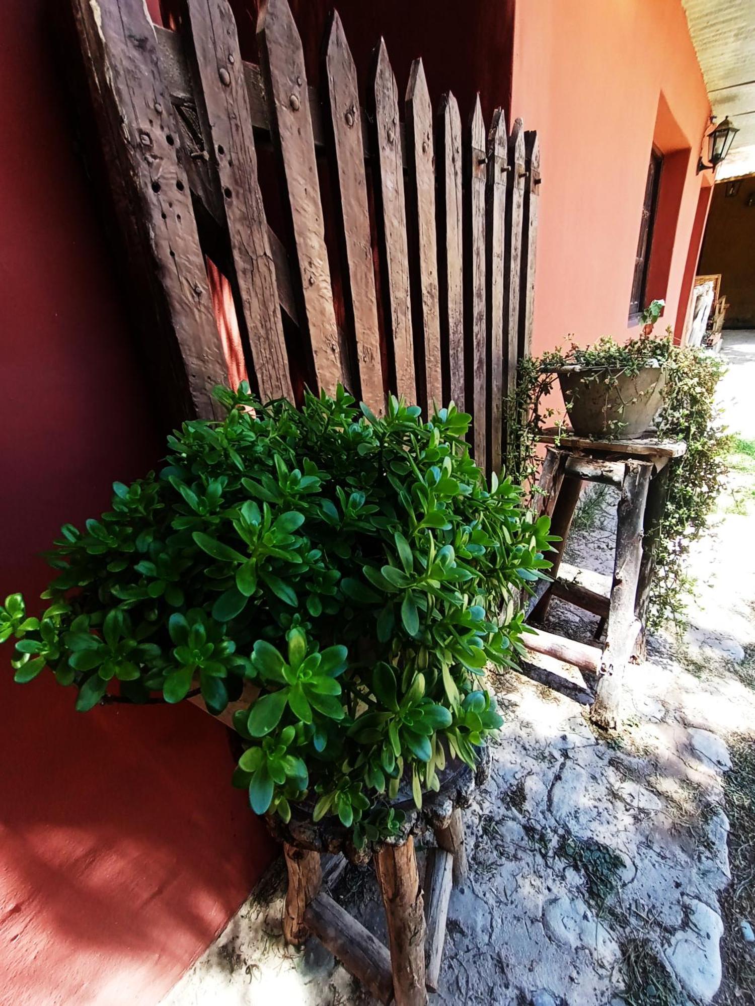 Hostal La Albahaca Tilcara Dış mekan fotoğraf